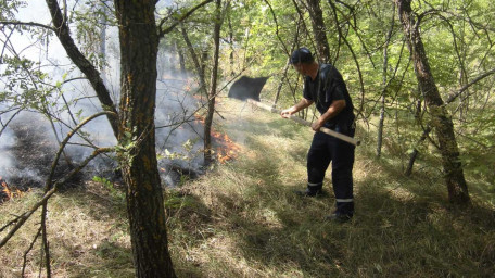 Минулої доби ліквідовано дві пожежі на території Горностаївського лісництва